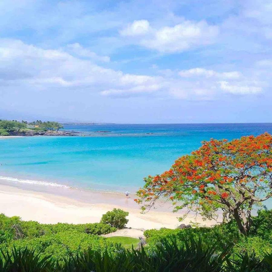 Family Friendly Kailua Bay View Ac Free Parking Walk To Kailua Village Exteriör bild