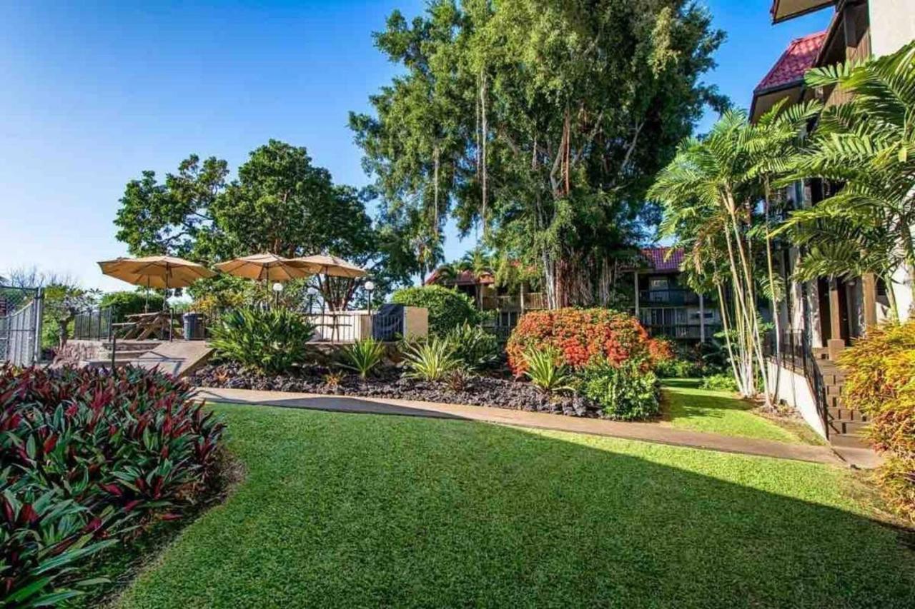 Family Friendly Kailua Bay View Ac Free Parking Walk To Kailua Village Exteriör bild